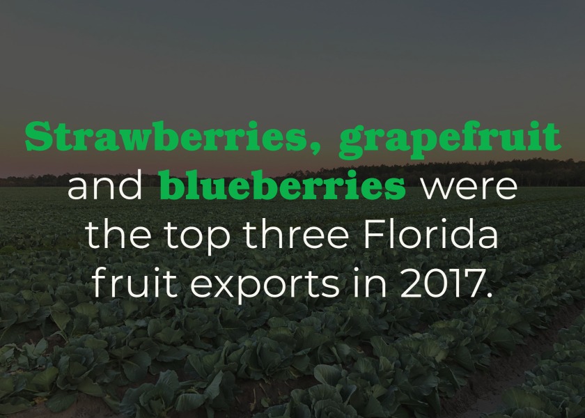 Central Florida spring produce The Packer